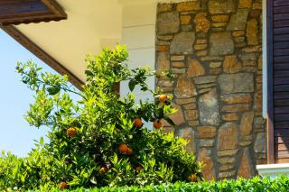 Marmaris Private Villa-Villa Lufu - Marmaris - 3
