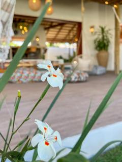 Casa Boa onda - Icaraizinho - 4