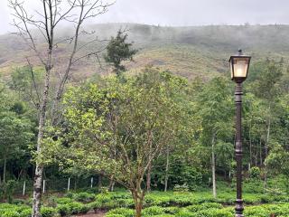 Four Winds Plantation Homestay Approved by Dept of Tourism Govt of Kerala - Vandiperiyār - 1