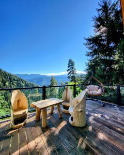 Cottage Galileo in Abastumani - Abastumani - 3