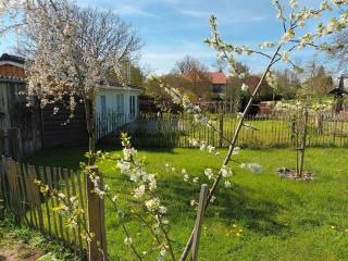 Apfelhof - Grundshagen - 4