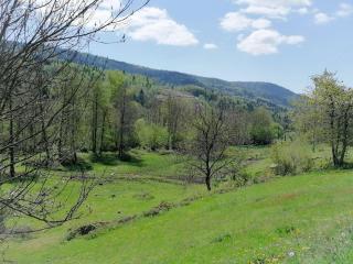 Gîte Marchand - Le Haut-du-Them - 3