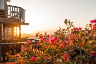 Sedgefield Views Holiday House with Stunning Panorama - Sedgefield - 0