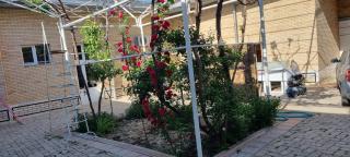 Guest House Muborak - Samarcanda - 0