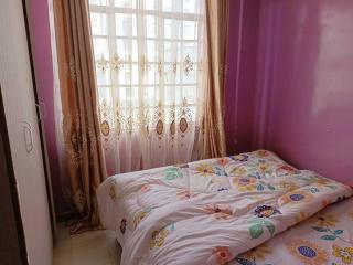 Ngara Furnished Apartments - Nairobi - 2