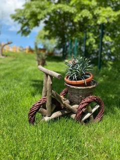 Apartmani Joka - Vrdnik - 3