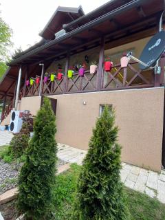 Apartmani Joka - Vrdnik - 6