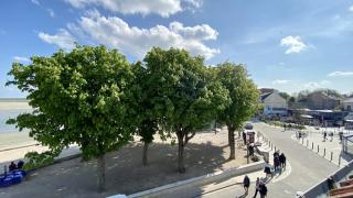 Le Salicorne - Le Crotoy - 7