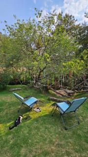 Luchita Mia Eco Cabañas Boutique - 4