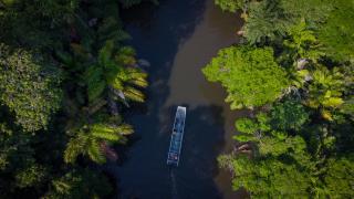Hotel Serendipity - Tortuguero - 7