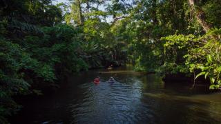 Hotel Serendipity - Tortuguero - 4