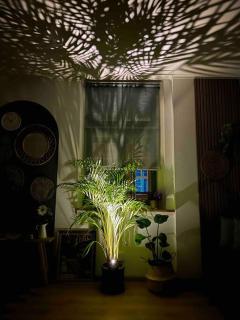 Cozy apartment in city center “Le petit Paris” - Lahr - 4