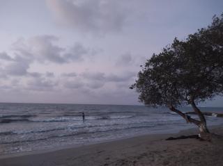 Cabaña Provenza - 3