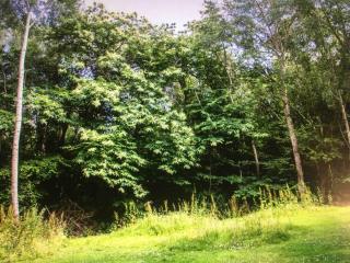 Hobbity Bell Hobbity log burner - Hobbity stay - 2