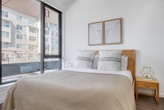 Central District 1br w gym bbq nr downtown SEA-549 - 5