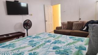 Caribbean Dream Vacation Property CD3 - Rodney Bay Village - 4