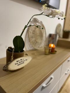Appartement Vila Luxury and Spa - Zlatibor - 4