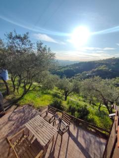 Il Fienile tra gli Ulivi - Lamporecchio - 4