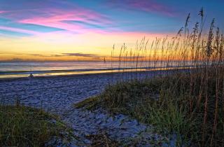 Ocean Breeze 33 - Hilton Head Island - 6