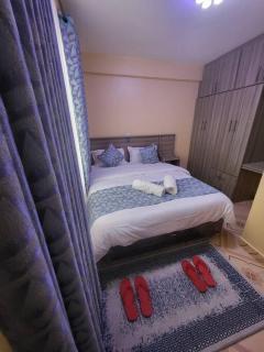 Blue House 2 Bedroom House. - Naivasha - 6