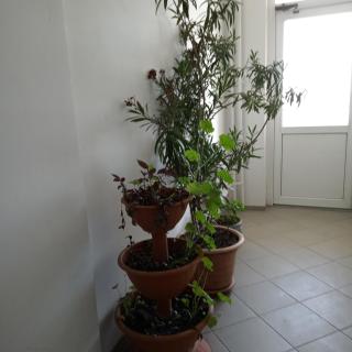 Center - 2