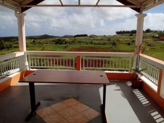 Sur la Route de Tortues - Rodrigues Island - 2