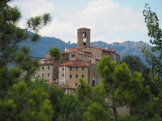 Aramo Verde - 9