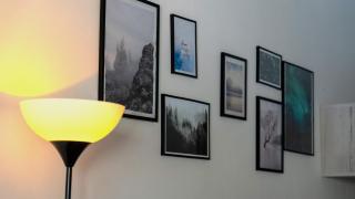 Magda's garden home. - 7