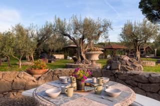 Roman Oasis Villa - Ciampino - 1