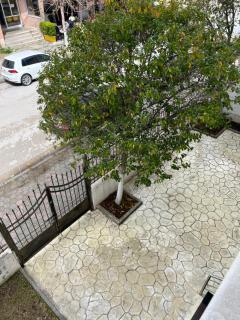 Doctor's Guest House Apartment - Vlora - 2