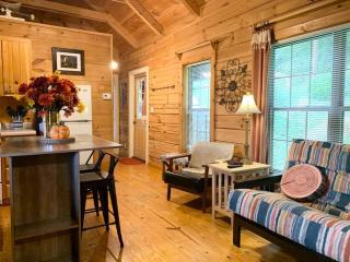 Walk to Lake Lure Chimney Rock from Autumn Splendor Cabin - Lake Lure - 1