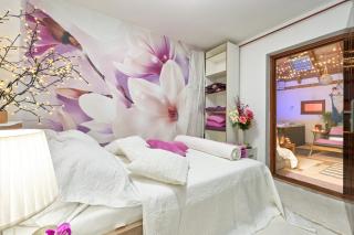 Privatni apartman u villi ,privatni wellness jacuzzi, finska sauna i privatni bazen - Črnec Biškupečki - 1