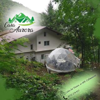 Casa Aurora - Călimăneşti - 4