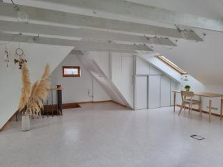 Old Town Jiva apartment - Kaunas - 2