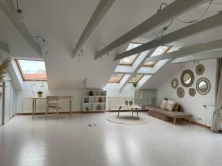 Old Town Jiva apartment - Kaunas - 9