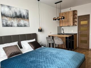 Apartment Two-room "Family Estate" - Kamianets-Podilskyi - 5