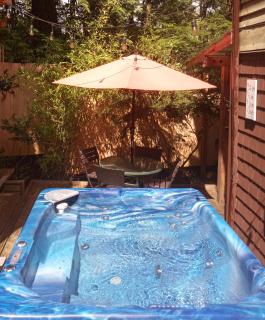 Forest Sweet Retreat Hot Tub & Wood Fired Sauna - Ucluelet - 0