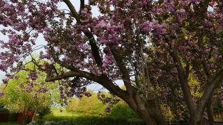 Lieblingsort am Moor - 2