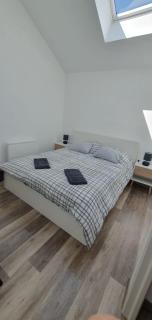 Duplex proche de Genève et du lac léman - 4