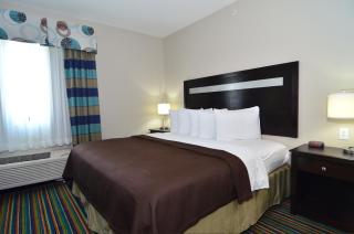 Quality Inn & Suites Kenedy - Karnes City - Kenedy - 9