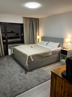 Isaak Appartment Burgnähe - Küssaberg - 6