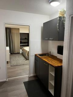 Isaak Appartment Burgnähe - Küssaberg - 3