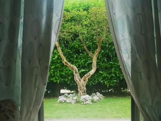 Garden House - Campagnano di Roma - 7