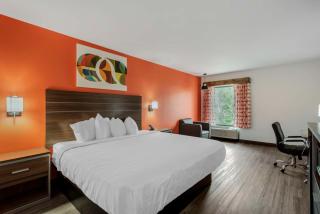 Best Western Statesville Inn - Statesville - 4