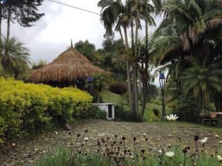 Finca El Paraíso Carmen de Viboral - Rionegro - 4