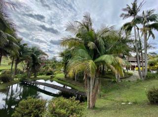 Finca El Paraíso Carmen de Viboral - Rionegro - 3