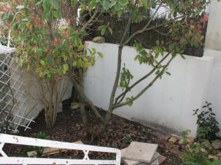 Maison raffinée au cœur de La Tranche, proche plage, parking et terrasse - FR-1-22-188 - La Tranche-sur-Mer - 3
