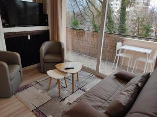 Charmant appartement au bord du Thiou - Annecy - Annecy - 8