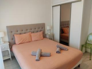 Charmant appartement au bord du Thiou - Annecy - Annecy - 3
