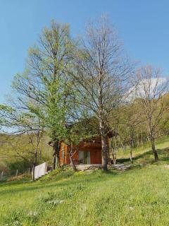 Kuća u šumi - Forest house near National park Una - Air Spa Lohovo - 4